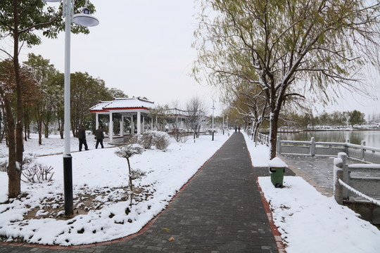 雪景