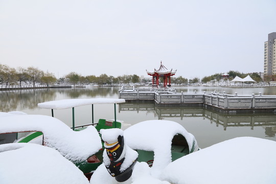 公園雪景