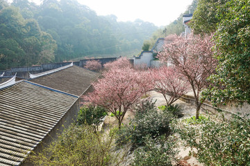 林陽寺