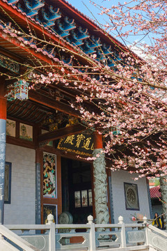 林陽寺