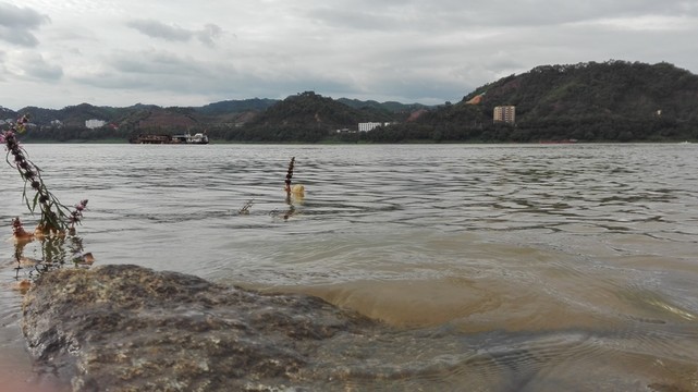 界首仙田口材河灘邊