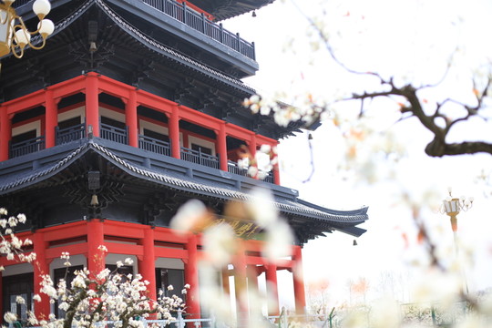 亭樓