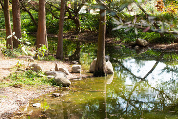 深圳人民公園湖景