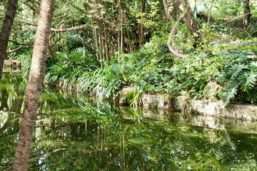 深圳人民公園湖景