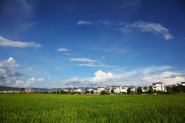 大理風景