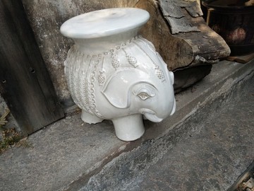 大象