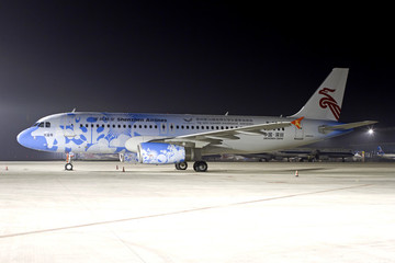 深圳航空大運(yùn)號(hào)彩繪飛機(jī)