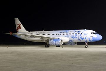深圳航空大運號彩繪飛機(jī)