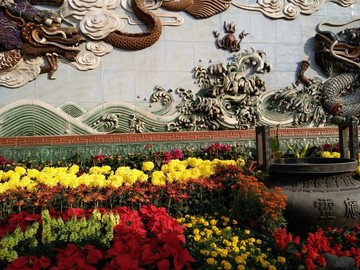 龍