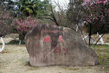 安徽農(nóng)業(yè)大學(xué)校園梅苑