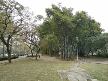 花園