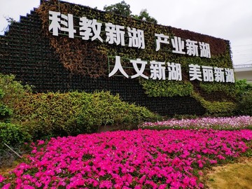 光明新湖街道