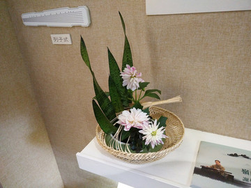 花卉