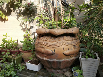 花盆