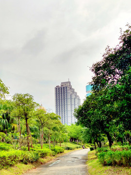 公園道路風(fēng)景