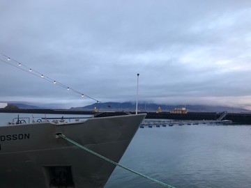 冰島