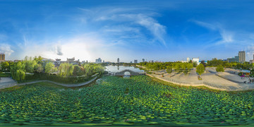 明月湖荷塘全景vr