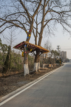 鄉(xiāng)村景觀裝飾