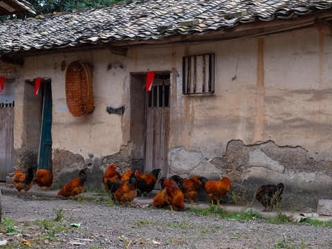 貧困山區(qū)貧困縣農(nóng)家小院