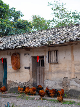 貧困山區(qū)貧困縣農(nóng)家小院