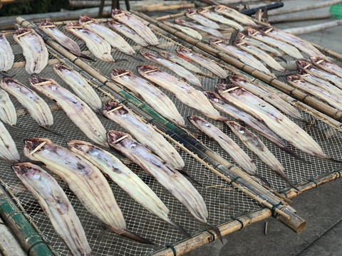 曬魚干