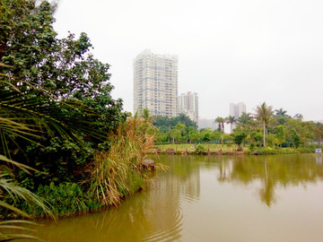湛江漁港公園