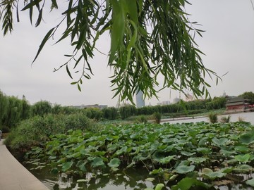 濟南大明湖