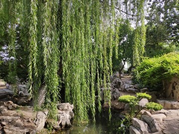濟(jì)南大明湖公園