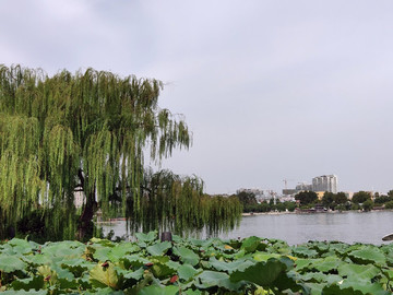 濟(jì)南大明湖公園
