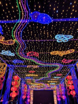 花燈元宵節(jié)元宵燈會(huì)鬧花燈