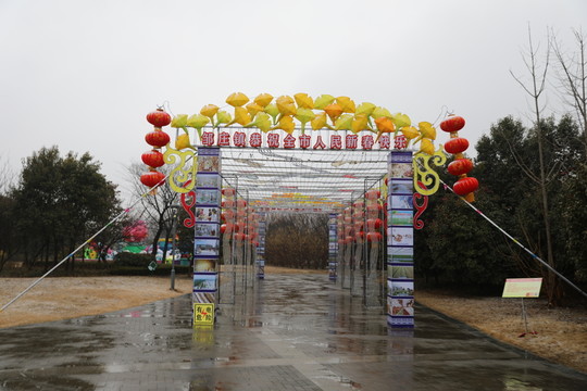 花燈元宵節(jié)元宵燈會鬧花燈