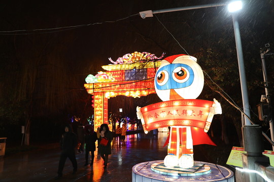 花燈元宵節(jié)元宵燈會鬧花燈