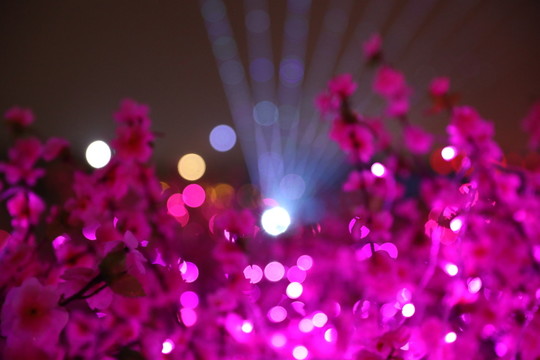 花燈元宵節(jié)元宵燈會鬧花燈