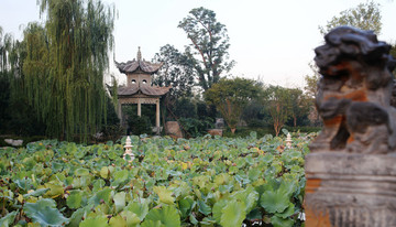 潁上尤家花園