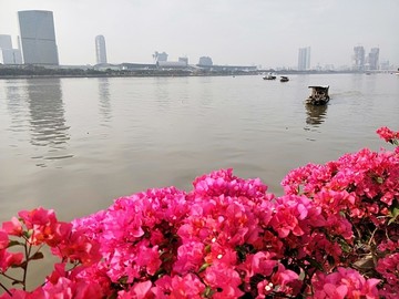 美麗珠江