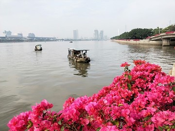美麗珠江