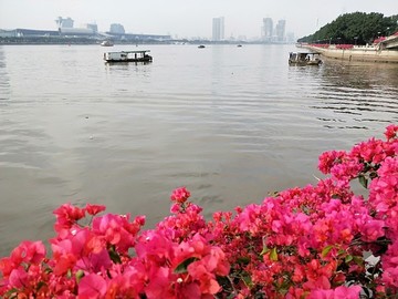 美麗珠江