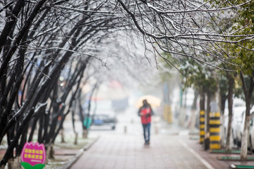 春雪