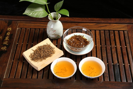 金駿眉茶
