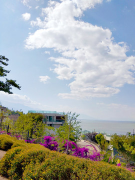 洱海公園風景