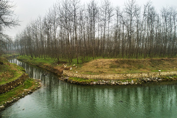 美麗鄉(xiāng)村