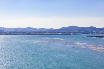 海濱海灘