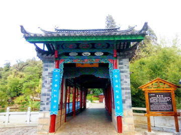麗江黑龍?zhí)讹L(fēng)景