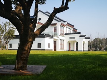 新農(nóng)村建設(shè)