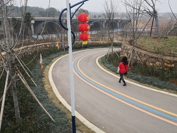 公園道路