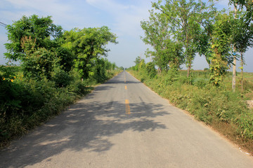 鄉(xiāng)間小路