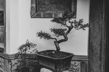 惠州古鎮(zhèn)懷舊照片