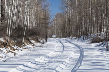林區(qū)小路