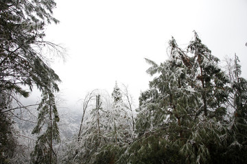 冰雪世界
