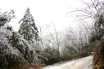 冰雪世界
